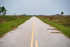 Kayaking Prints: The Everglades National Park, Florida, United States