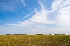 Kayaking Prints: The Everglades National Park, Florida, United States
