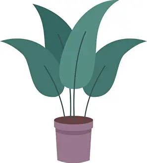Gardener Prints: Exotic green plant in pot. Home jungle decoration isolated on white background