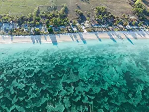 An expanse of sand and seagrass fringes a beautiful beach on the island of Pantar, Indonesia. This region is known for its high marine biodiversity