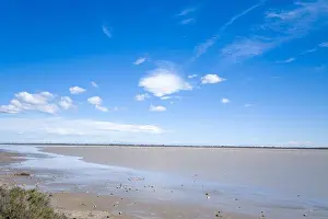 Salt Marsh Prints: Expansive salt marsh lagoon in Camargue with calm