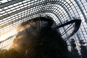 Sands Prints: Exploring the famous tourist attraction, the Cloud Forest in Singapore