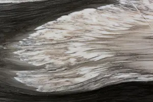 Artistic Prints: Extraordinary marble background for your expensive interior