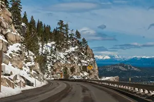Pine Tree Prints: eye-level view of a wide road bordered by snow-capped rocky mountains with pine trees on one side