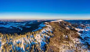 Fabulous snow-covered panorama of spruce trees growing on the mountain slopes in winter in cloudy foggy weather
