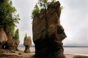 Conglomerate Prints: Face of ET and Motherinlaw sea stacks at Hopewell Rocks Bay of Fundy New Brunswick Canada