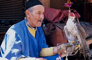 Souk Prints: Falcon Trainer Marrakesh Morocco North Africa