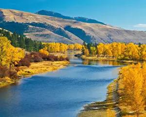 fall colors along the bitterroot river near missoula, montana