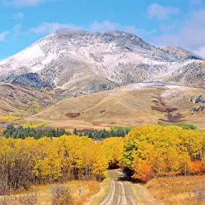 Unspoiled Prints: fall colors below centennial mountain in the bearpaw mountains near rocky boy, montana