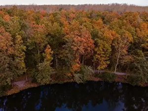Fall colour reflected in the still waters of a lake near Urk Netherlands