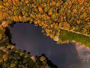 Fall colour reflected in the still waters of a lake near Urk Netherlands