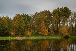Fall colour reflected in the still waters of a lake near Urk Netherlands