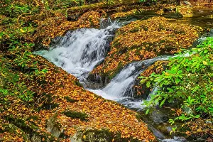 Tennessee Prints: Fall leaves carpet the rocks on the multiple small falls on Rocky Fork Creek in rural Tennessee