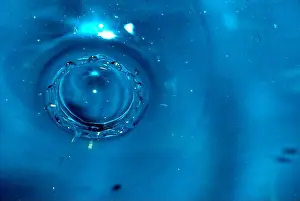 Droplet Prints: The falling drop of water created a crown of waves