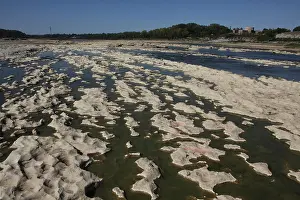 Beds Prints: Falls of the Ohio river state park Jeffersonville indiana Devonian fossil bed