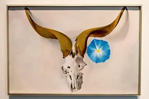 New Mexico Prints: Famous Georgia Okeeffe Painting of a Ram's Skull Resides in the Georgia O'Keeffe Museum in Santa Fe