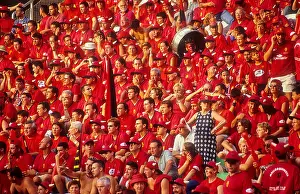 Exciting Prints: Fans of RCD Mallorca in stadium of Elche. Elche, Alicante province, Spain
