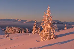 Fantastic orange evening landscape glowing by sunlight. Dramatic wintry scene with snowy trees. Kukul ridge, Carpathians, Ukrain