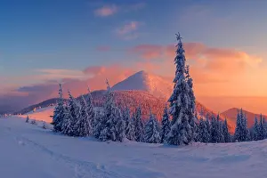 Fantastic orange evening landscape glowing by sunlight. Dramatic wintry scene with snowy trees. Carpathians, Ukraine, Europe. Me