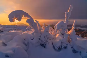 Fantastic orange evening landscape glowing by sunlight. Dramatic wintry scene with snowy trees. Carpathians, Ukraine, Europe. Me