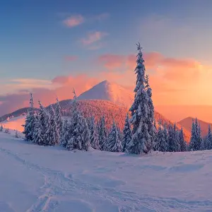Fantastic orange evening landscape glowing by sunlight. Dramatic wintry scene with snowy trees. Carpathians, Ukraine, Europe. Me