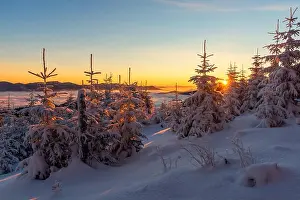 Fantastic orange evening landscape glowing by sunlight. Dramatic wintry scene with snowy trees. Carpathians, Ukraine, Europe. Merry Christmas!