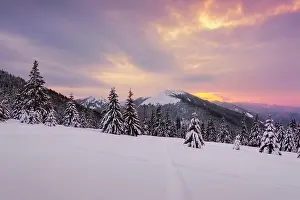 Fantastic orange winter landscape in snowy mountains glowing by sunlight. Dramatic wintry scene with snowy trees. Christmas holiday background