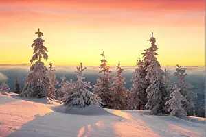 Fantastic orange winter landscape in snowy mountains glowing by sunlight. Dramatic wintry scene with snowy trees. Christmas holiday background