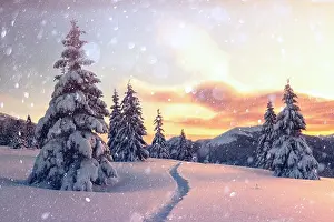 Fantastic orange winter landscape in snowy mountains glowing by sunlight. Dramatic wintry scene with snowy trees