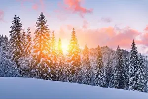 Fantastic orange winter landscape in snowy mountains glowing by sunlight. Dramatic wintry scene with snowy trees. Christmas holiday background