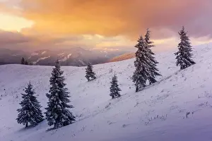 Fantastic orange winter landscape in snowy mountains glowing by sunlight. Dramatic wintry scene with snowy trees. Christmas holiday concept. Carpathia