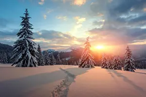 Fantastic orange winter landscape in snowy mountains glowing by sunlight. Dramatic wintry scene with snowy trees. Christmas holiday concept