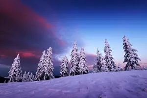 Fantastic orange winter landscape in snowy mountains glowing by sunlight. Dramatic wintry scene with snowy trees. Christmas holiday concept