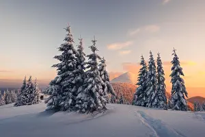 Fantastic orange winter landscape in snowy mountains glowing by sunlight. Dramatic wintry scene with snowy trees. Christmas holiday concept