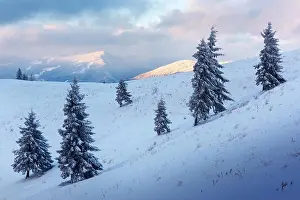 Fantastic orange winter landscape in snowy mountains glowing by sunlight. Dramatic wintry scene with snowy trees. Christmas holiday concept