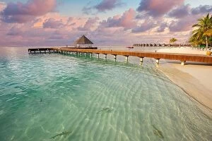 Images Dated 31st October 2019: Fantastic sunset beach shore, shallows with sting rays and sharks in Maldives islands