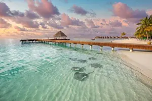 Fantastic sunset beach shore, shallows with sting rays and sharks in Maldives islands. Luxury resort hotel, wooden jetty, over water villa, bungalow