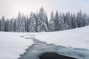 Images Dated 8th July 2017: Fantastic winter landscape with frozen river and snowy trees in foggy mountains
