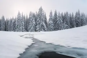 Hoar Prints: Fantastic winter landscape with frozen river and snowy trees in foggy mountains
