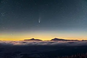 Fantastic winter landscape glowing by star light. Dramatic wintry scene with snowy trees and comet in night sky. Carpathians, Europe