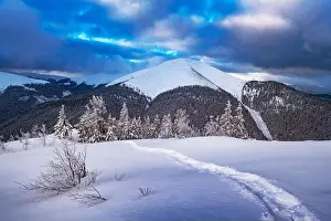 Hoar Prints: Fantastic winter landscape panorama with snowy trees and snowy peaks