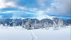 Fantastic winter landscape panorama with snowy trees and snowy peaks. Carpathian mountains, Ukraine. Christmas holiday background