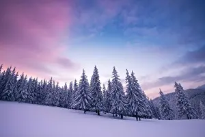 Fantastic winter landscape in snowy mountains glowing by morning sunlight. Dramatic wintry scene with frozen snowy trees at sunrise