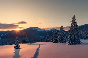 Fantastic winter landscape in snowy mountains glowing by morning sunlight. Dramatic wintry scene with frozen snowy trees at sunrise