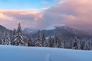 Fantastic winter landscape in snowy mountains glowing by morning sunlight. Dramatic wintry scene with frozen snowy trees at sunrise