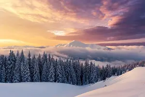 Fantastic winter landscape in snowy mountains glowing by morning sunlight. Dramatic wintry scene with snowy trees