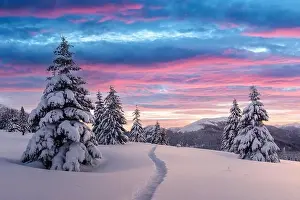 Fantastic winter landscape in snowy mountains glowing by morning sunlight. Dramatic wintry scene with frozen snowy trees at sunrise