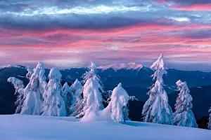 Fantastic winter landscape in snowy mountains glowing by morning sunlight. Dramatic wintry scene with frozen snowy trees at sunrise