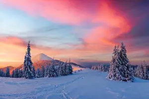 Fantastic winter landscape in snowy mountains glowing by morning sunlight. Dramatic wintry scene with frozen snowy trees at sunrise