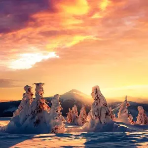 Fantastic winter landscape in snowy mountains glowing by morning sunlight. Dramatic wintry scene with frozen snowy trees at sunrise